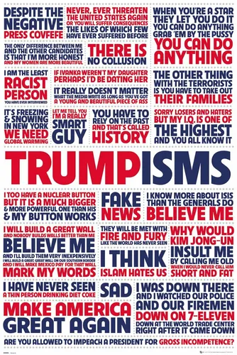Poster TRUMP - Trumpisms - Quotes 61x91,5cm NEU 59164