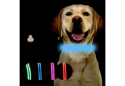 Petsation Hunde-Halsband Leuchthalsband für Hunde [Das Original] Leuchtendes LED Hundehalsband