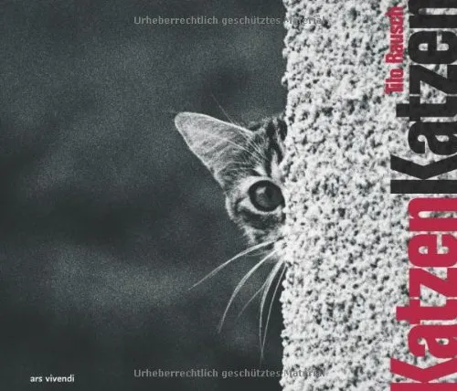 Katzen Katzen