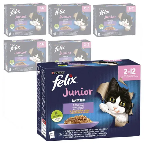 Felix Fantastic Junior Katzenfutter Auswahl an Geschmäckern in Gelee 72x85g