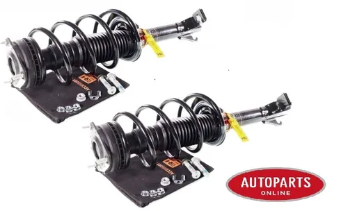 GH Federbein Komplett Federbein PRO GH+351960C01