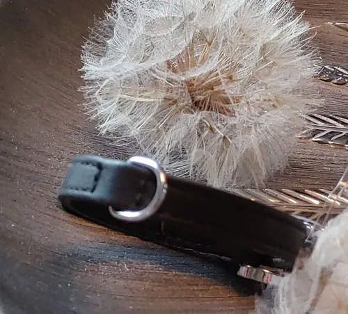 Hundehalsband,Leder,schwarz, Halsband,Hirschleder,Gr.Xs, 27cm,Karlie,NORDIC