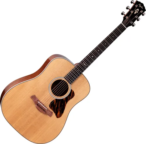 Taylor Gold Label 510e Akustikgitarre von Taylor