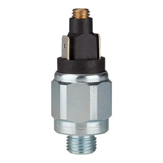 Riegler Druckschalter Standard Stahl verz. G 1/8 1-10 bar Schließer - Hochwertiger Druckschalter für Pumpen, präzise Regelung von 1-10 bar, ideal für Industrieanwendungen.