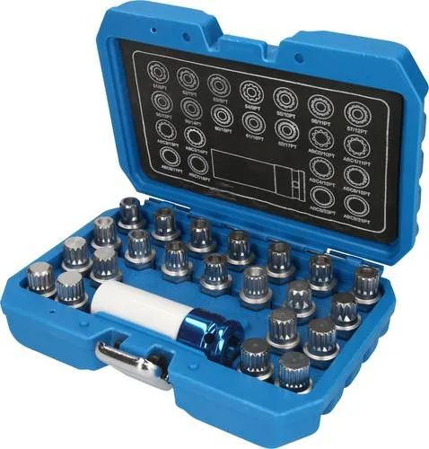Brilliant Tools Felgenschloss-Sortiment für VW, 23-tlg BT691260 - Zubehör für Reifen & Felgen – 23-teiliges Sortiment für beschädigungsfreies Öffnen von Felgenschlössern, ideal für VW Modelle wie Golf, Passat und Tiguan.