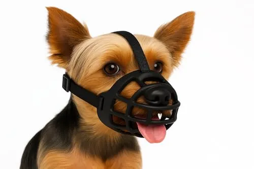 Flamingo Maulkorb Benzo XS – Verstellbarer Silikon-Maulkorb für kleine Hunde - Der Flamingo Maulkorb Benzo XS bietet optimalen Komfort für kleine Hunde. Ideal für Training und Spaziergänge, sorgt er für sicheren Halt und gute Belüftung. Hygienisch und pflegeleicht – Qualität aus Europa.