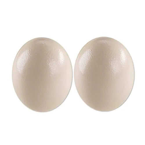 africX 2 Straußeneier aus Südafrika - 1A Qualität - Straußenei - Größe ca. 13-16cm - naturbelassen, entleert, ausgeblasen und gereinigt