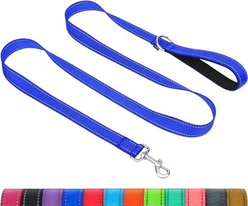 Taglory Hundeleine Kleine Hunde Leicht | Doppelseitig Reflektierend | Gepolsterter Griff | Bis zu 10 kg | 1.2m x 2cm | Dunkelblau
