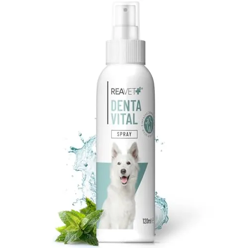 ReaVET Dentalspray für Hunde