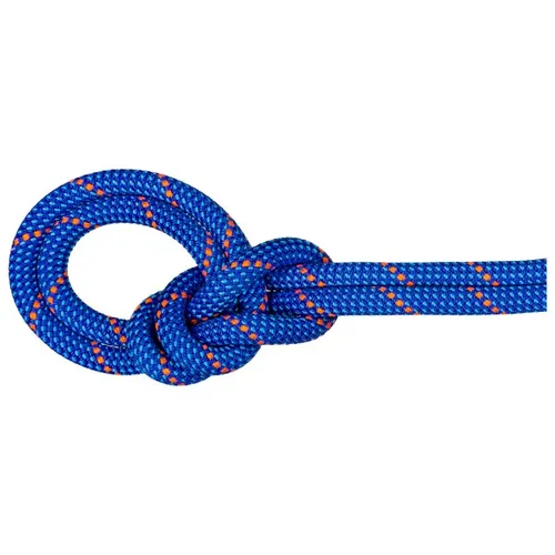 Mammut