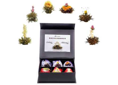 Creano Tee Magnetbox 6er ErblühTee Schwarztee/Weißtee von CREARTEC
