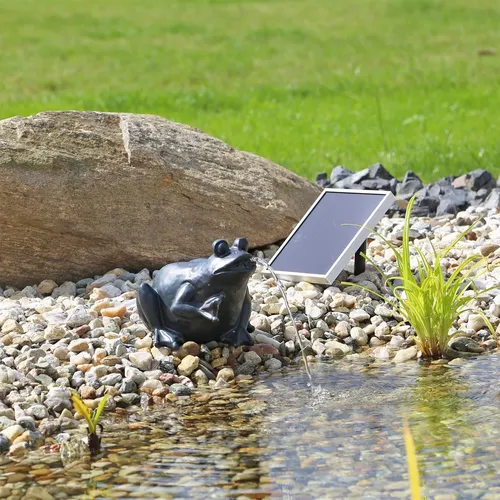 CLGarden Solar Wasserspeier Frosch NSP9 mit Pumpe für Teich von CLGarden