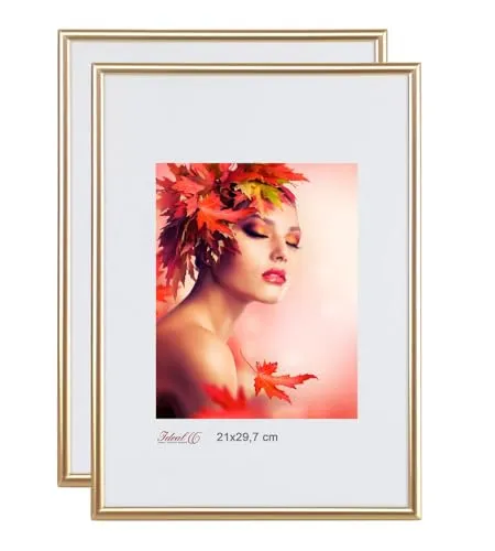 IDEAL TREND 2er 3er 5er Pack Bilderrahmen Kunststoff Lifestyle Foto Rahmen Collage KYOTO: Farbe: 2er Pack Gold | Format: 10x15
