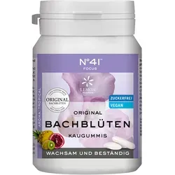 Konzentration Kaugummi nach Dr. Bach 40 St