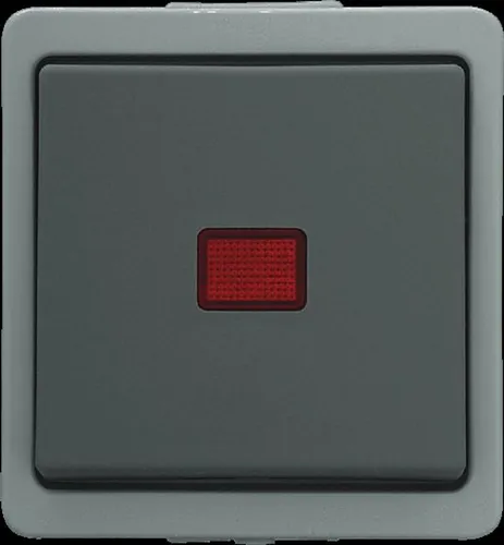 Universal Kontrollschalter System 9365 Aufputz AP/FR grau 93966