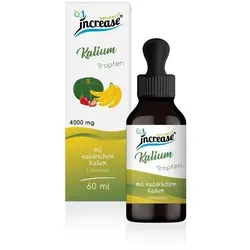 Liposomale Kalium Tropfen hochdosiert - 4000mg pro Tagesdosis - Hochdosierte Kalium Tropfen mit 120.000 mg Kalium pro Flasche. Ideal für die tägliche Ergänzung und einfach zu dosieren. Mit MCT Öl für beste Aufnahme. Perfekt zur Unterstützung der täglichen Ernährung.