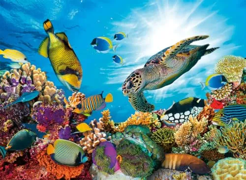Nathan — 500-teiliges Puzzle — Das Korallenriff — Erwachsene und Kinder ab 12 Jahren — Hochwertiges Puzzle — perfekte Passform — Wildlife Collection — 12000954