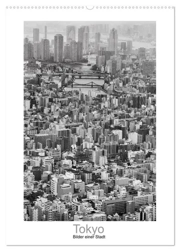Jan Scheffner | Tokyo - Bilder einer Stadt (Wandkalender 2026 DIN A2 hoch),...
