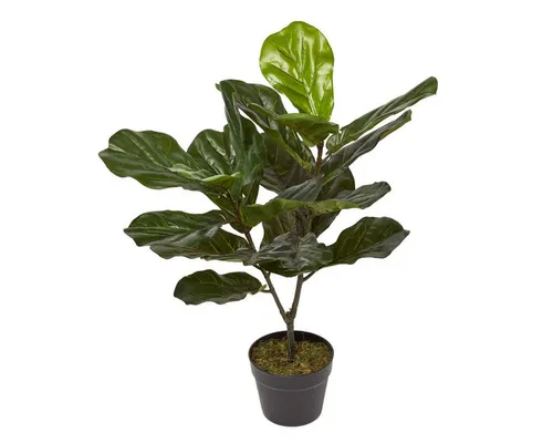 Kunstbaum Ficus Lyrata – Geigenfeige künstlich im Topf, 75cm, Homescapes, Höhe 75 cm