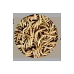 Mehlwürmer getrocknet 300 g