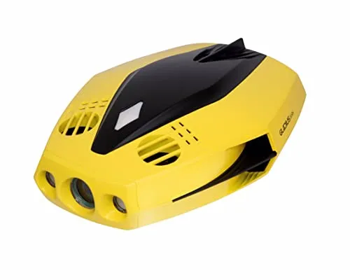 Chasing Dory - Unterwasser-Drohne (ROV)