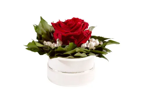Kunstblume Infinity Rosenbox Diamonds and Pearls 1 infinity Rose Rose, ROSEMARIE SCHULZ Heidelberg, Höhe 10 cm, echte Blume die lange hält, Made in Germany
