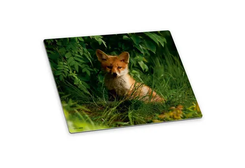Produktbild itenga Schreibtischunterlage itenga Deluxe Schreibtischunterlage FUCHS 50x40cm