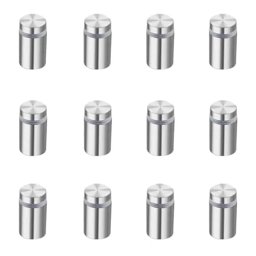 Abstandsschrauben Wandhalterung Schilderhalter, 12 Stück Glasabstandshalter Edelstahl, Wandabstandshalter Nägel, Zierschrauben für Glases, Werbung,Schild (Mattsilber 12x20mm)