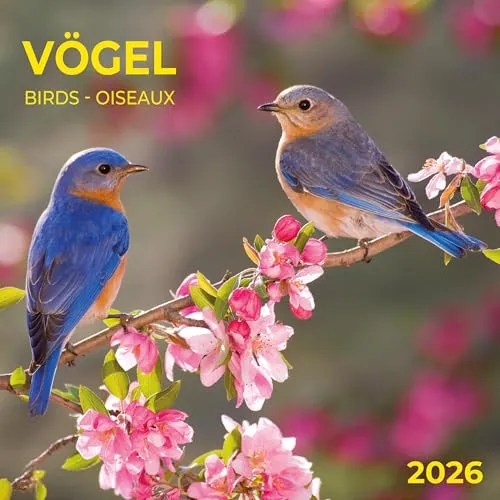 Heimische Vögel 2026: Kalender 2026 (Artwork Edition)