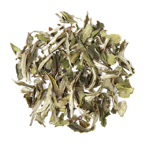 tea exclusive - Pai Mu Tan Weißer Tee China bio