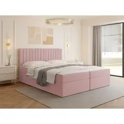 MIRJAN24 Boxspringbett Tirulo 160x200 cm mit 2 Bettkästen - Rosa - Stylisches Boxspringbett Tirulo in Rosa, inklusive zwei praktischen Bettkästen für zusätzlichen Stauraum. Ideal für ein komfortables Schlafzimmer mit hohem Schlafkomfort.