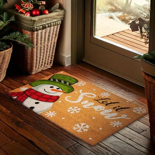 BRUBAKER Fußmatte für Außen und Innen, mehrfarbig,BRUBAKER