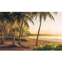Komar Vliestapete Digitaldruck - Golden Lands 400 x 250 cm - Fototapete mit beeindruckendem Strandmotiv, dimensionsstabil und leicht zu verarbeiten – ideal für Wohnzimmer oder Schlafzimmer.