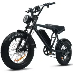 Vankel E-Bike Cityrad Schneemobil E6 – 100 km Reichweite von Vankel