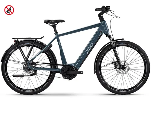 Green's Carlton R750 Trekking E-Bike 750Wh
