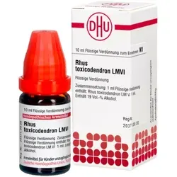 Rhus Toxicodendron LM VI Dilution 10 ml