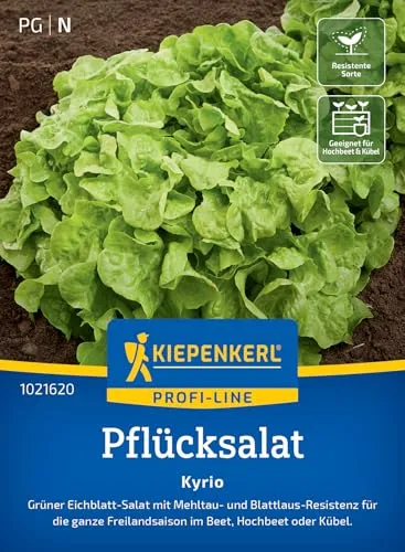 Kiepenkerl Profi-Line Pflücksalatsamen Kyrio 1021620 von Kiepenkerl