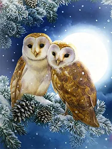 Pracht Creatives Hobby Diamond Painting Set, Bild mit Motiv Eulen und Zubehör, Größe ca. 33 x 44 cm, Bastelset zum Malen mit Glitzersteinchen für Kinder ab 5 Jahren
