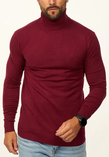 DAILY COTTON Rollkragenpullover als Feinstrick Pulli in Slim Fit für Herren Männer Winterpullover - Casual & Business Look Rolli