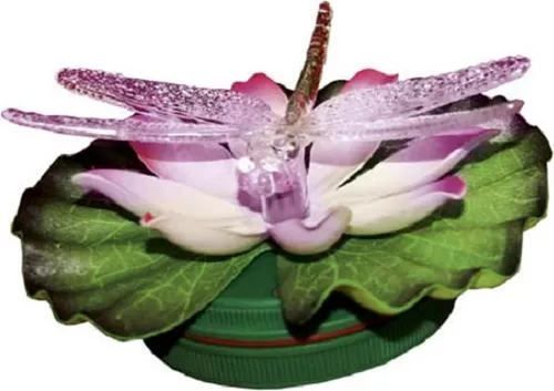 Star Beleuchtung von Star