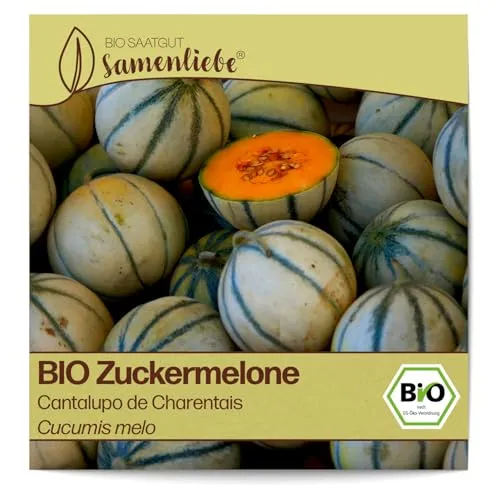Samenliebe BIO Zuckermelonen Samen Cantalupo de Charentais süße Honigmelone runde Melone orange 10 Samen samenfestes Gemüse Saatgut für Gewächshaus Freiland und Balkon BIO Gemüsesamen