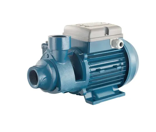 Wasserpumpe FORAS PE100 elektrische 230V , made in Italy, 0.74kW 6.5bar, Garten