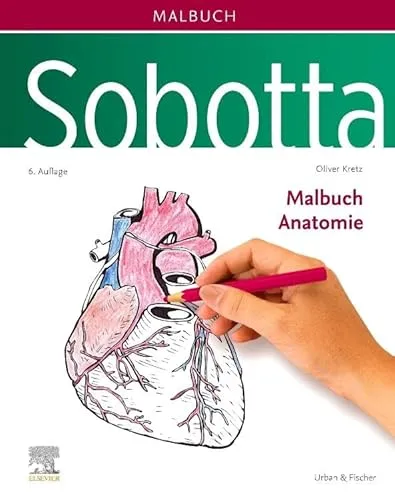 Produktbild Sobotta Malbuch Anatomie