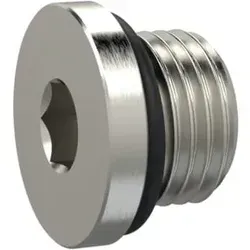 Riegler Verschlussschraube, Innensechskant 2,5 mm, M5, NBR O-Ring, MSN