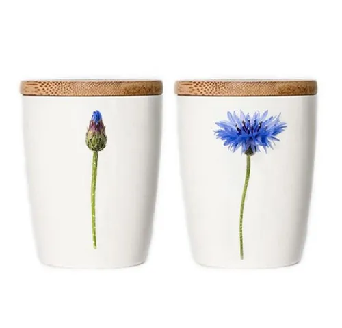 Simply Flowers Tasse Tasse Kornblume (Klein)
