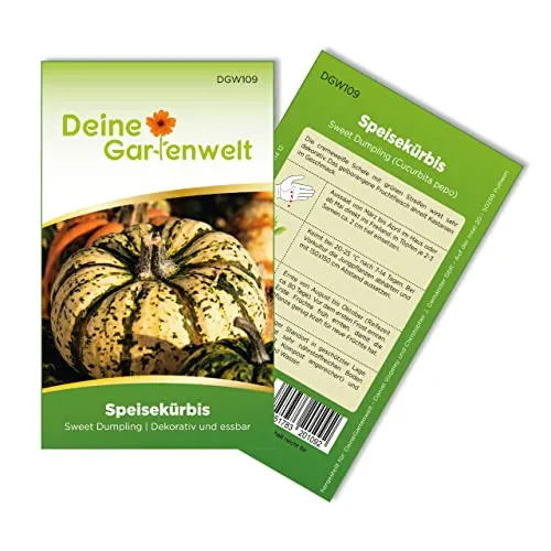 Kürbis Sweet Dumpling Samen - Cucurbita pepo - Kürbissamen - Gemüsesamen - Saatgut für 10 Pflanzen