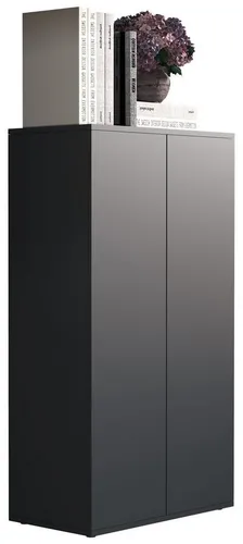 VCM Aktenschrank Dalosa 3-Fach, anthrazit, 60 x 108 x 32 cm - Stylischer Flügeltürenschrank mit 3 Ordnerhöhen, höhenverstellbaren Fachböden und griffloser Push-to-open Technik – ideal für ein modernes Büro.