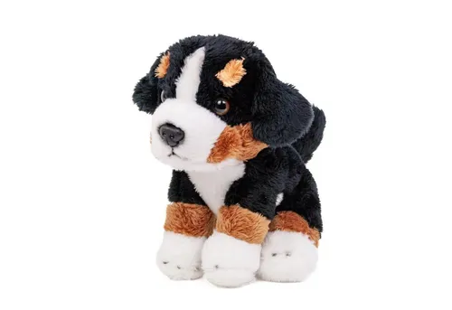 Teddys Rothenburg Kuscheltier Berner Sennenhund klein sitzend 15 cm Plüschhund (Stoffhund Plüschhund, Plüschtiere Berna Sennenhunde Stofftiere)