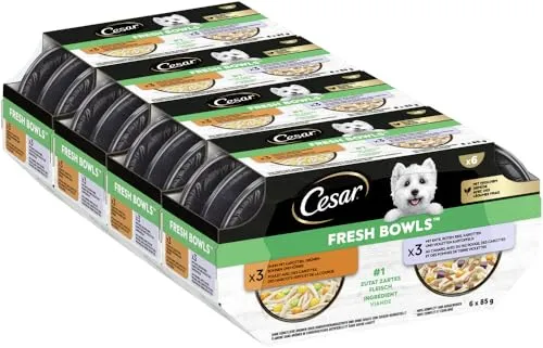 Cesar Schale gemischte Auswahl in Soße 4 x 6 x 85 g - Leckeres Futter für Katzen, hergestellt aus zartem Fleisch und natürlichen Zutaten. 100% komplett und ausgewogen, ohne künstliche Aromen oder Zucker. Ideal für die tägliche Ernährung deiner Katze.