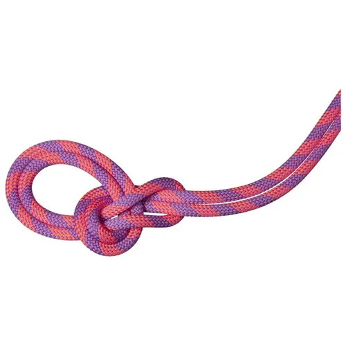 Mammut